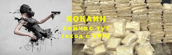 крисы Белокуриха